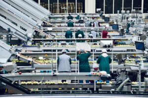 Top Trends in Warehouse Automation to Watch in 2023
